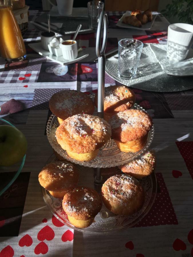 Chalet Des Palmiers Bagnères-de-Bigorre Zewnętrze zdjęcie